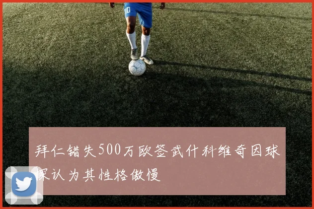 拜仁错失500万欧签武什科维奇因球探认为其性格傲慢