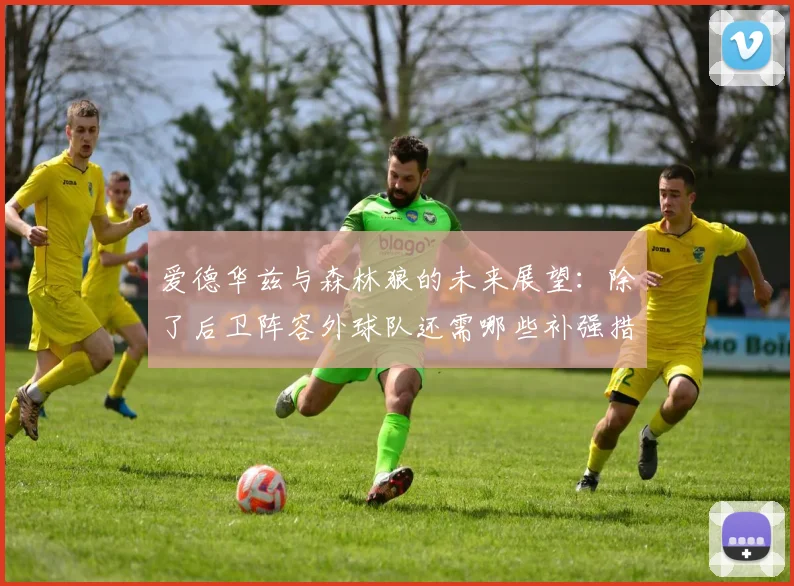 爱德华兹与森林狼的未来展望：除了后卫阵容外球队还需哪些补强措施