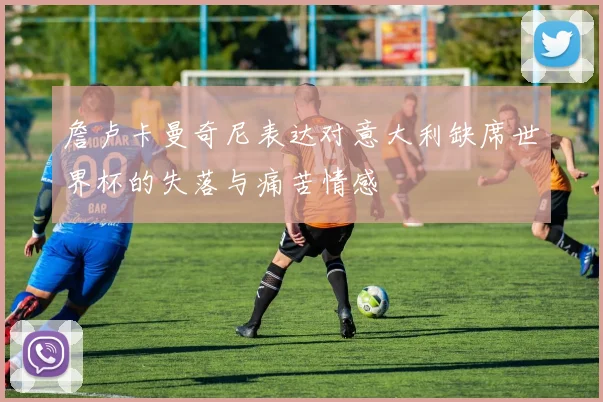 詹卢卡曼奇尼表达对意大利缺席世界杯的失落与痛苦情感