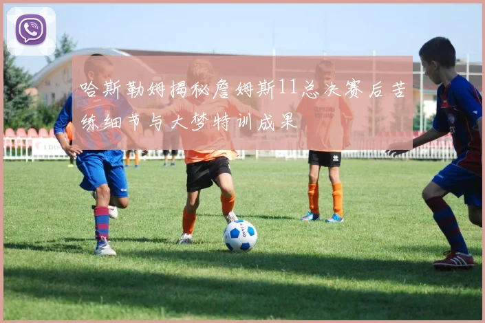 哈斯勒姆揭秘詹姆斯11总决赛后苦练细节与大梦特训成果