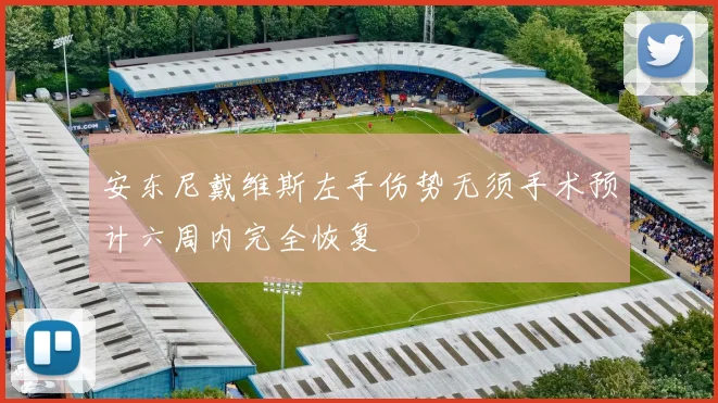 安东尼戴维斯左手伤势无须手术预计六周内完全恢复